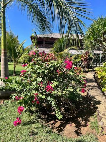 Villa Milena Nosy-Be Luaran gambar